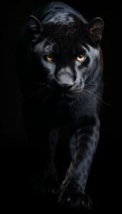 A close-up of a black panther with piercing yellow eyes on a dark background, creating a powerful iPhone wallpaper.