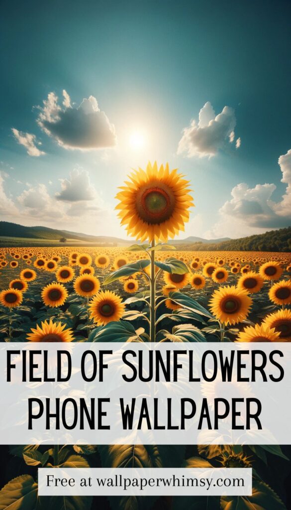 Field Of Sunflowers Under A Clear Blue Sky