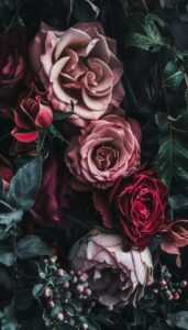 A selection of dark and moody roses in shades of red and pink, set against a rich, dark background, suitable for an iPhone wallpaper or phone background.