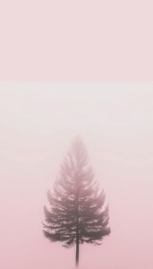 A lone pine tree silhouette set against a gradient of pink mist, creating a serene iPhone wallpaper.