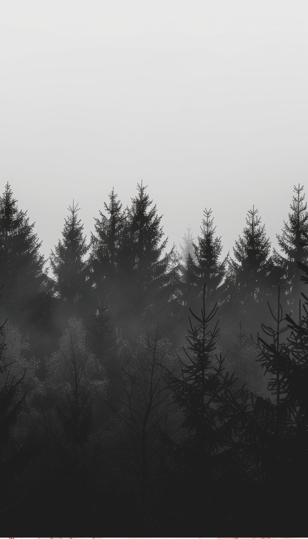 Misty Pines Silhouette iPhone Wallpaper