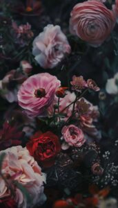 An assortment of lush flowers in shades of pink, red, and white, artfully arranged on a moody, dark background, serving as an iPhone wallpaper.