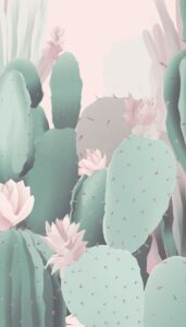 Pastel-colored cacti with delicate flowers on a soft pink background, designed for iPhone wallpaper.