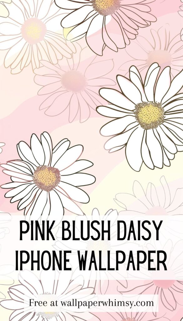 Pink Blush Daisy IPhone Wallpaper