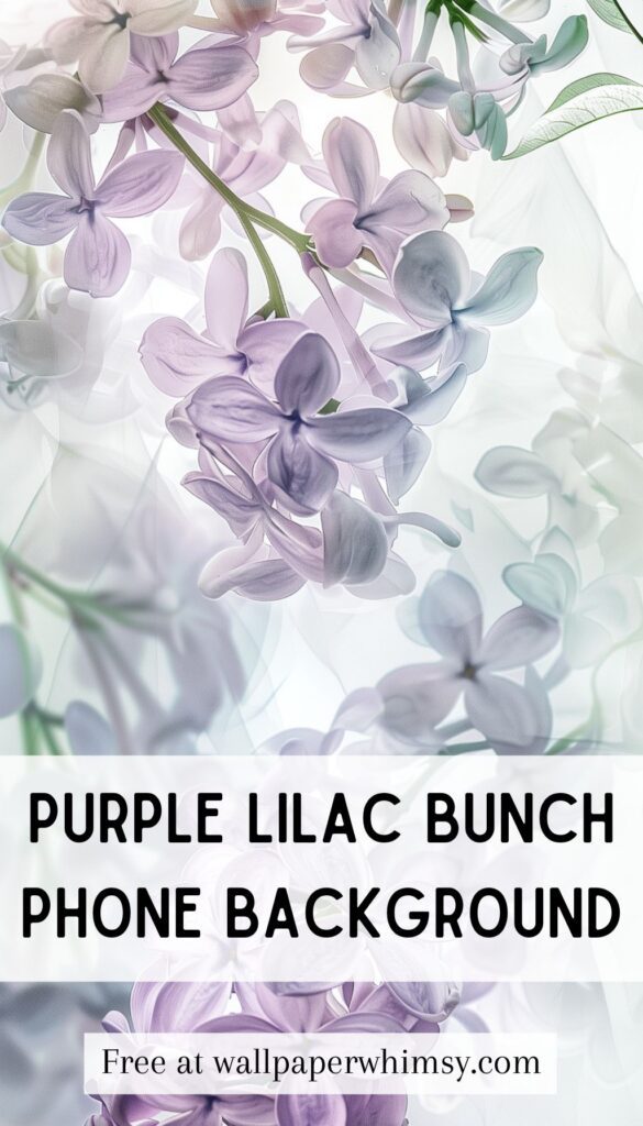 Purple Lilac Bunch Phone Background Graphic.