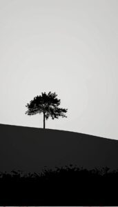 A lone tree silhouette stands against a gradated backdrop, creating a minimalist iPhone wallpaper.