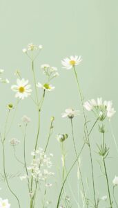 A collection of white wildflowers, including daisies and Queen Anne's lace, standing against a soft green background.