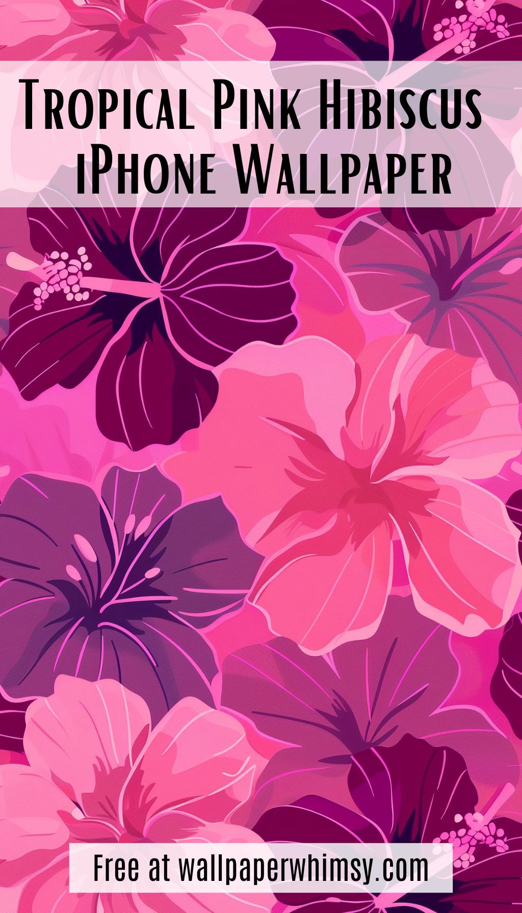 Tropical Pink Hibiscus IPhone Wallpaper graphic.