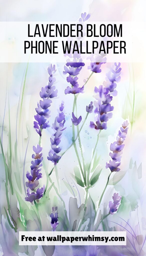 Lavender Bloom iPhone Wallpaper Graphic.