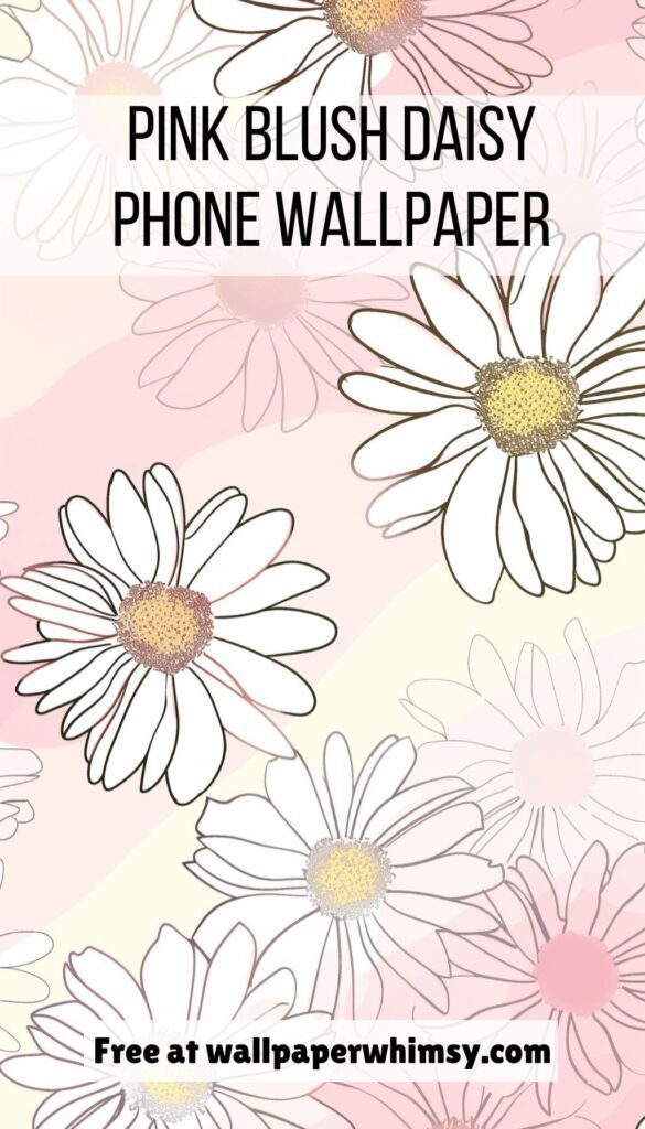 Pink Blush Daisy iPhone Wallpaper graphic.