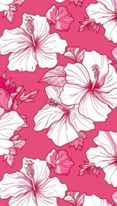 Pink hibiscus flowers on a vibrant pink background, perfect for iPhone wallpaper and phone background.