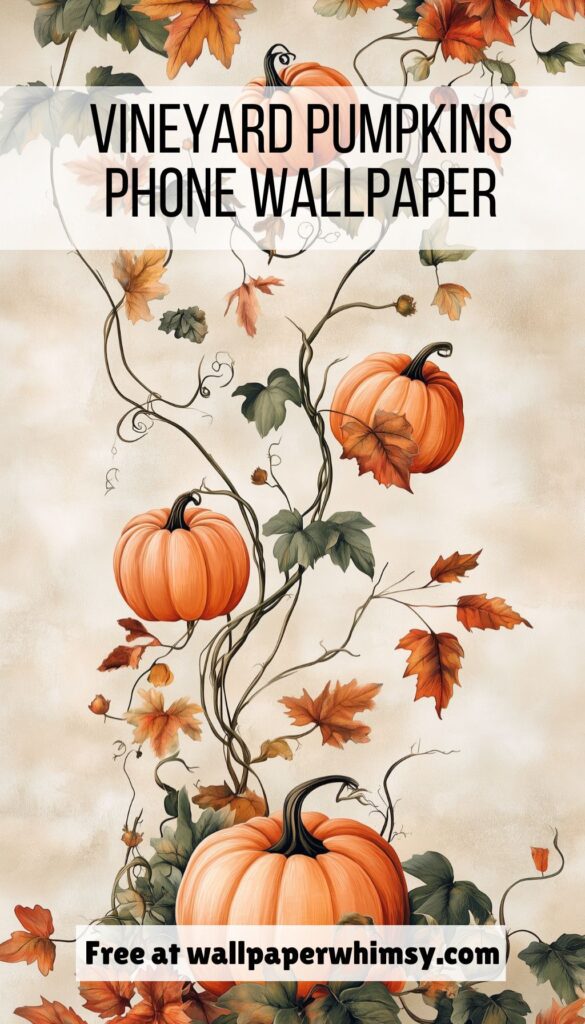 Vineyard Pumpkins graphic.