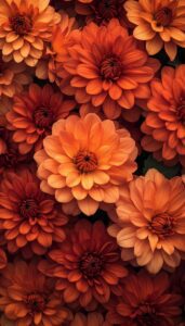 Illustration of orange and amber dahlias with layered petals, designed as a fall-themed phone wallpaper background.