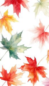 A delicate dance of maple leaves in various autumnal shades, from vibrant red to soft yellow and gentle green, gracefully positioned against a crisp white background, capturing the fleeting beauty of fall.