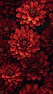 Illustration of deep red dahlias with layered petals on a dark background, designed as a fall-themed phone wallpaper.