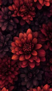 Illustration of deep red mums with layered petals on a dark background, designed as a fall-themed phone wallpaper.