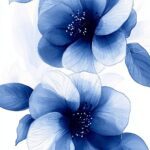 Blue Floral iPhone Wallpaper